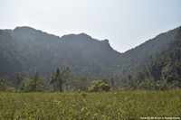 DSC_4709.jpg
