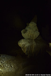 DSC_4774.jpg