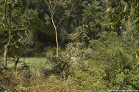 DSC_4858.jpg