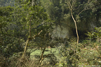 DSC_4859.jpg