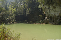 DSC_4867.jpg
