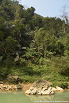 DSC_4884.jpg