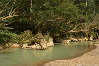 DSC_4886.jpg