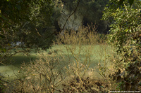 DSC_4889.jpg