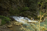 DSC_4890.jpg