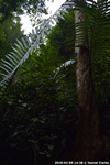 DSC_4908.jpg
