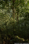 DSC_4912.jpg