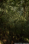 DSC_4914.jpg