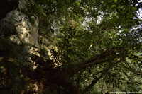 DSC_4917.jpg