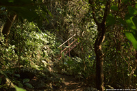 DSC_4937.jpg