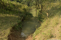 DSC_4944.jpg