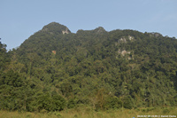 DSC_4948.jpg