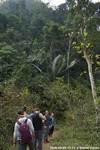 DSC_4952.jpg