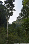 DSC_4954.jpg