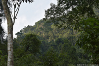 DSC_4957.jpg