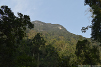 DSC_4961.jpg