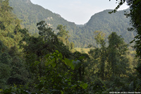 DSC_4965.jpg