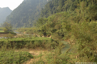 DSC_4985.jpg