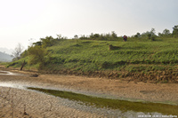 DSC_5004.jpg