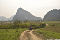 DSC_5015.jpg