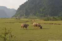 DSC_5017.jpg