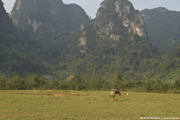DSC_5019.jpg