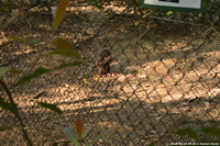 DSC_5033.jpg