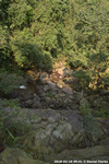 DSC_5051.jpg