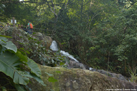 DSC_5054.jpg