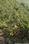 DSC_5056.jpg