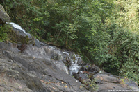 DSC_5060.jpg