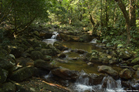 DSC_5062.jpg