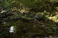 DSC_5063.jpg