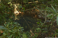DSC_5064.jpg