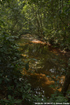 DSC_5066.jpg