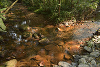 DSC_5070.jpg