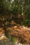 DSC_5071.jpg