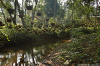DSC_5072.jpg