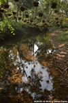 DSC_5073.jpg