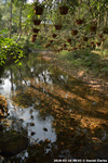 DSC_5074.jpg