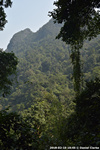 DSC_5076.jpg