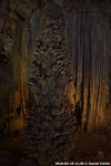 DSC_5172.jpg