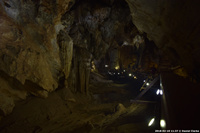 DSC_5174.jpg
