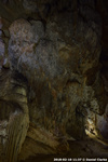 DSC_5175.jpg