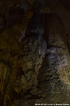 DSC_5187.jpg
