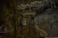 DSC_5196.jpg