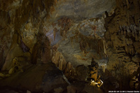 DSC_5204.jpg