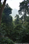DSC_5207.jpg