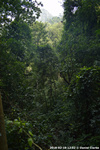 DSC_5208.jpg