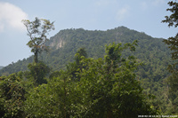 DSC_5210.jpg